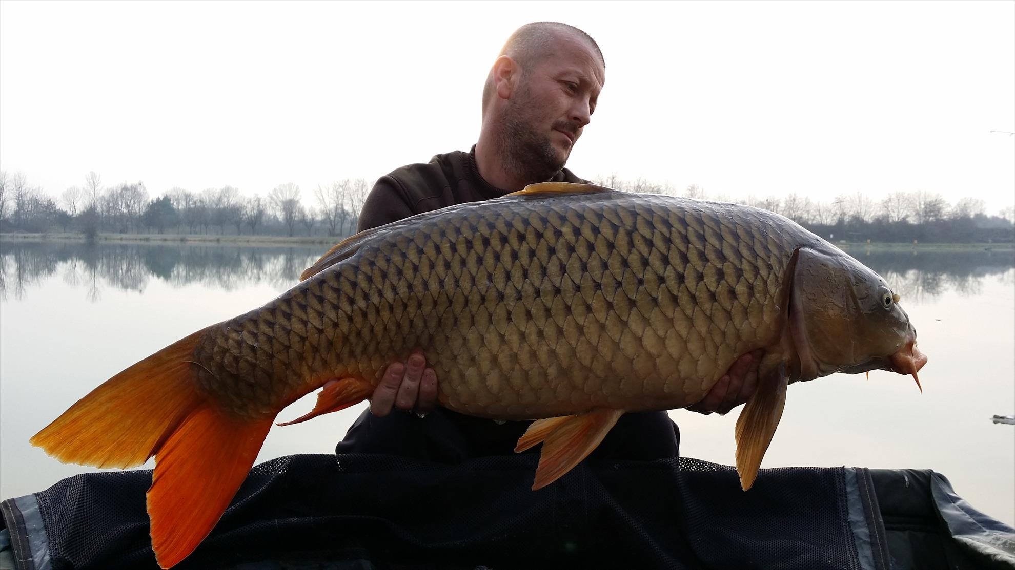 Isola 2015  - 20150310171032.jpg